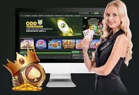 betpkr4 gaming platform